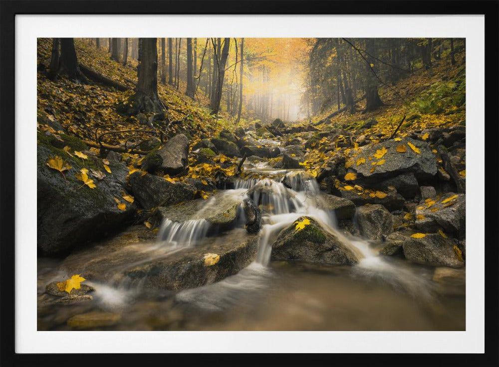 Herfstbeek | Poster