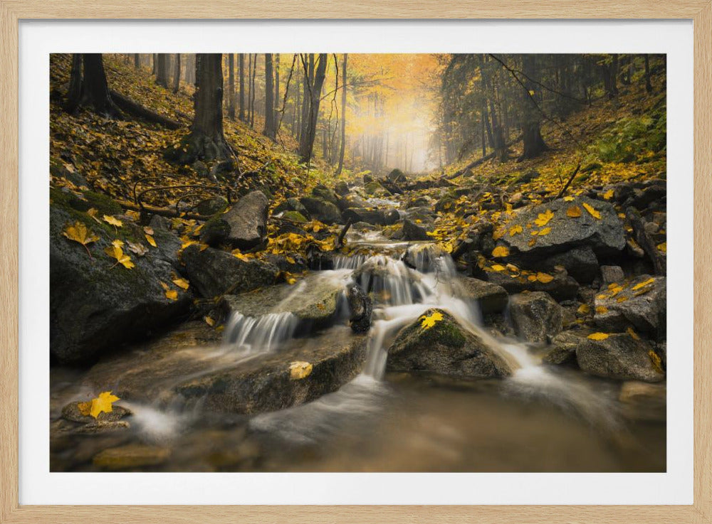 Herfstbeek | Poster