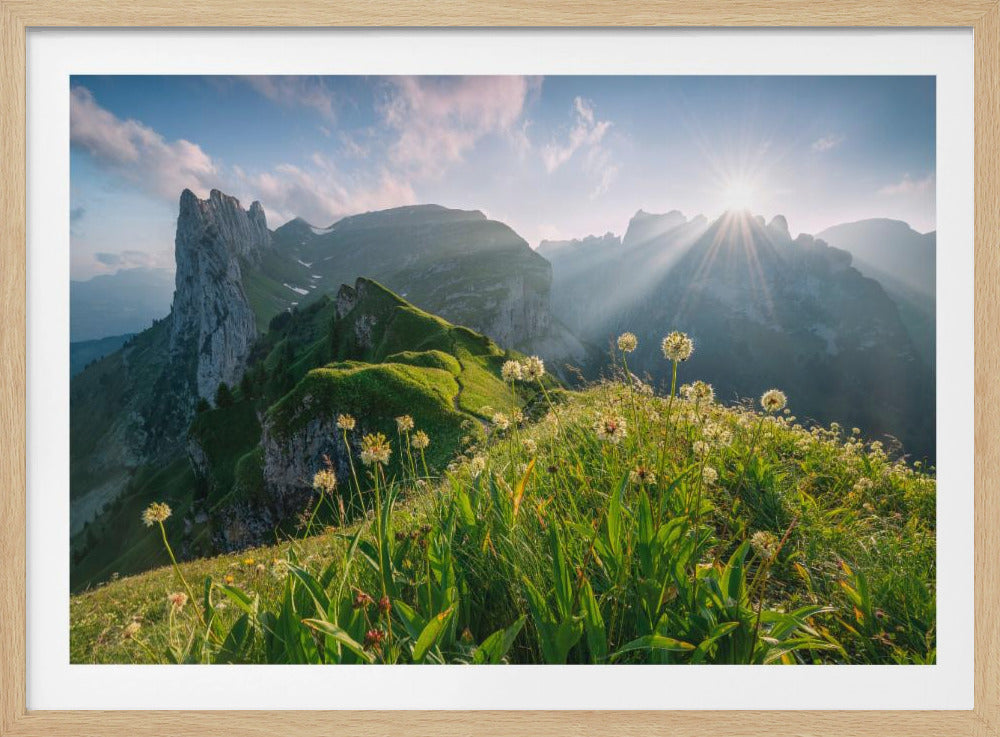 Hoogzomer | Poster