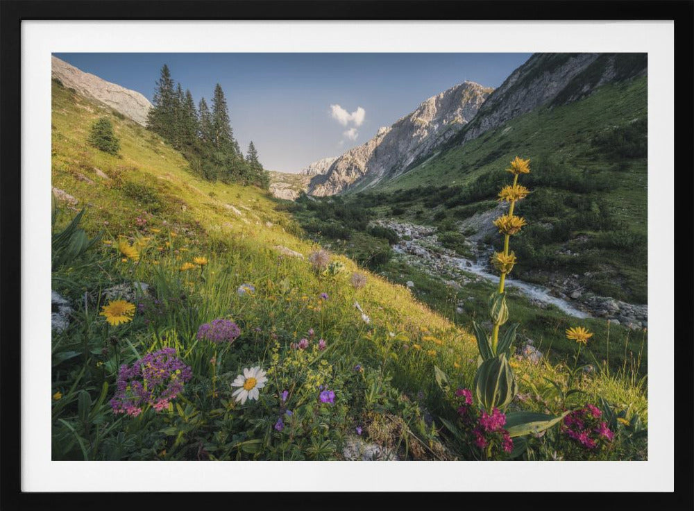 Tuin Eden | Poster