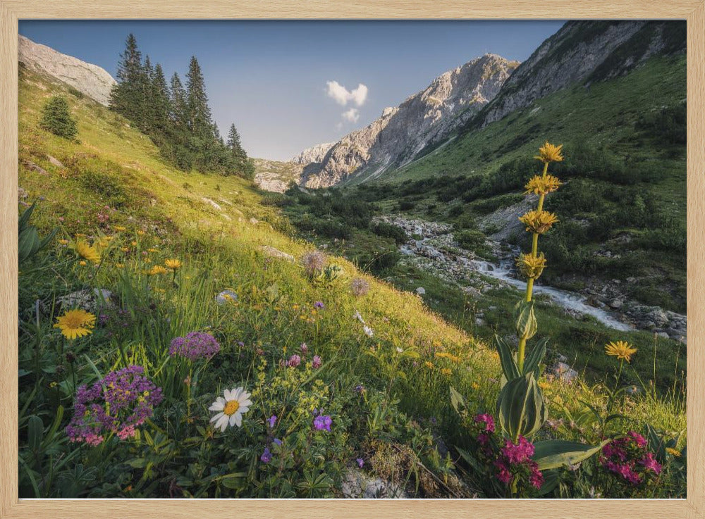 Tuin Eden | Poster