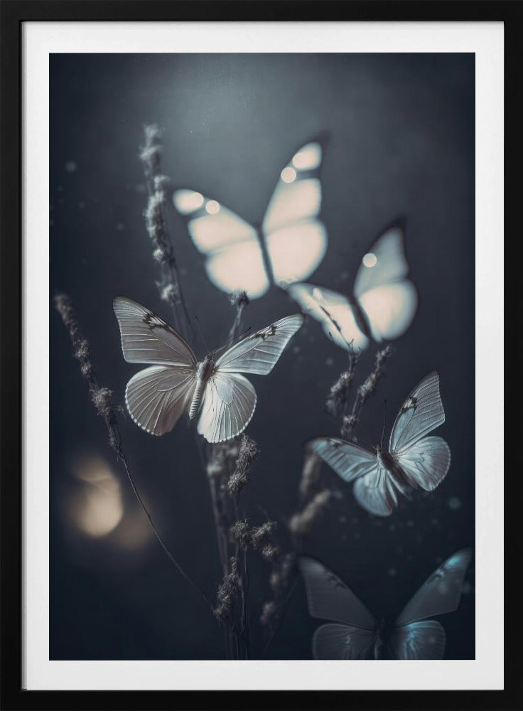 Fluisterende Vleugels | Poster