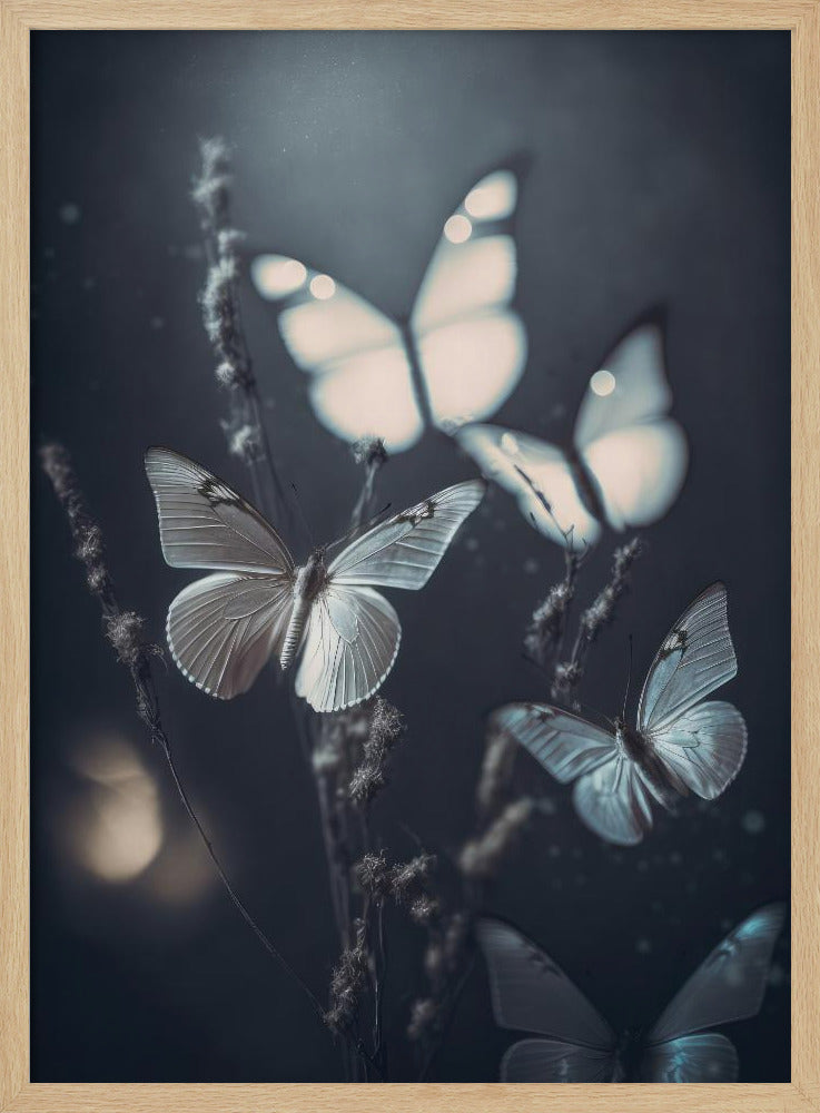 Fluisterende Vleugels | Poster