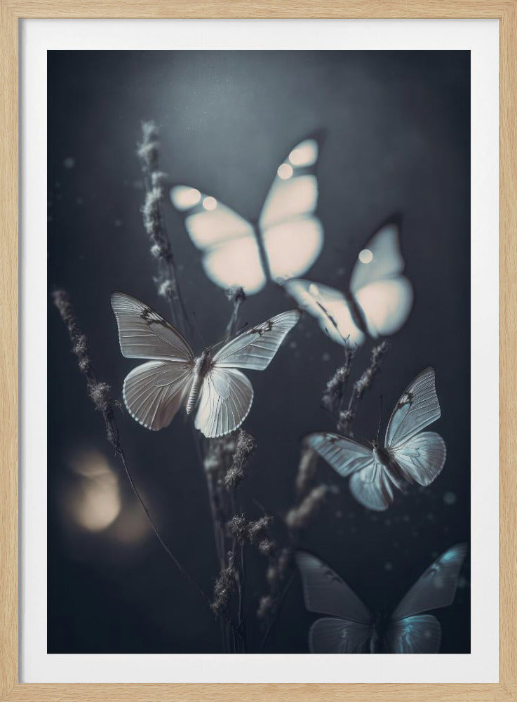 Fluisterende Vleugels | Poster