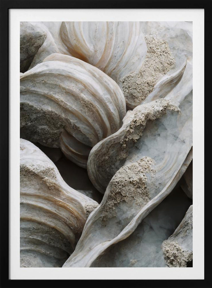 Shell Symfonie | Poster