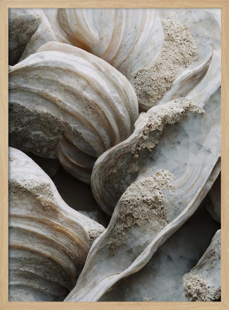 Shell Symfonie | Poster