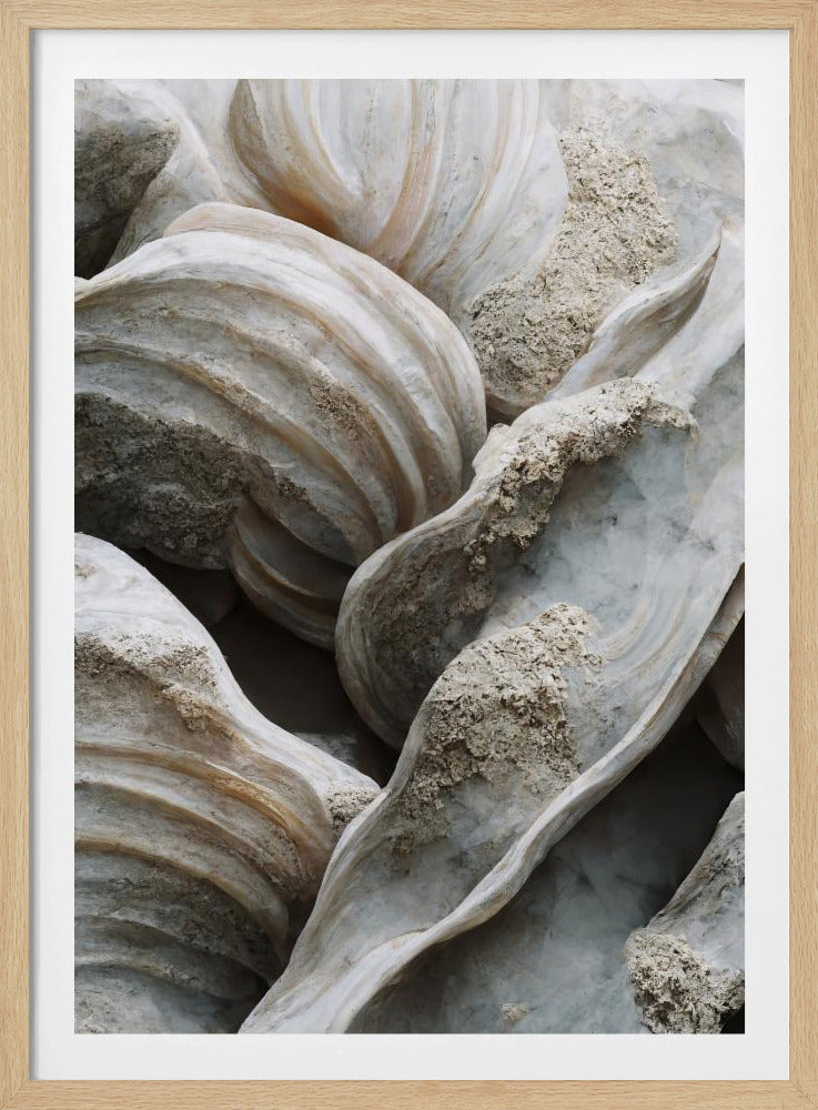 Shell Symfonie | Poster