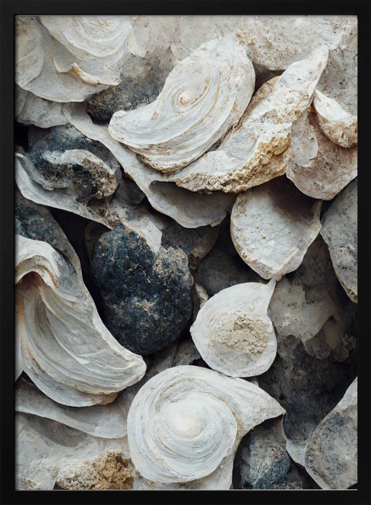 Schelpen en steen | Poster