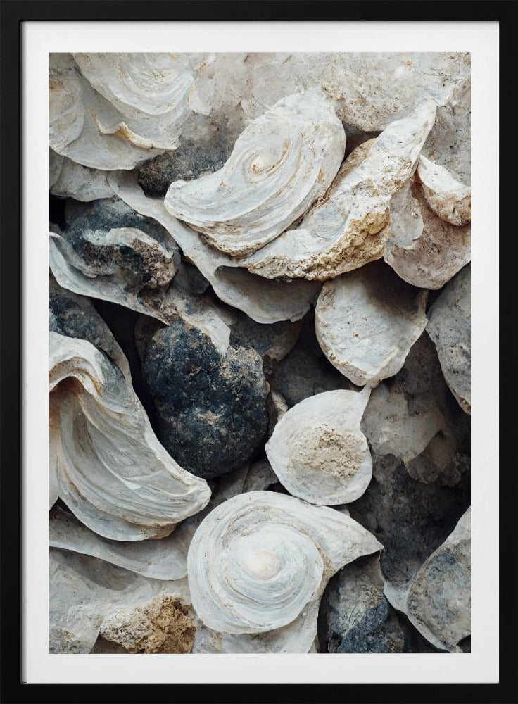 Schelpen en steen | Poster
