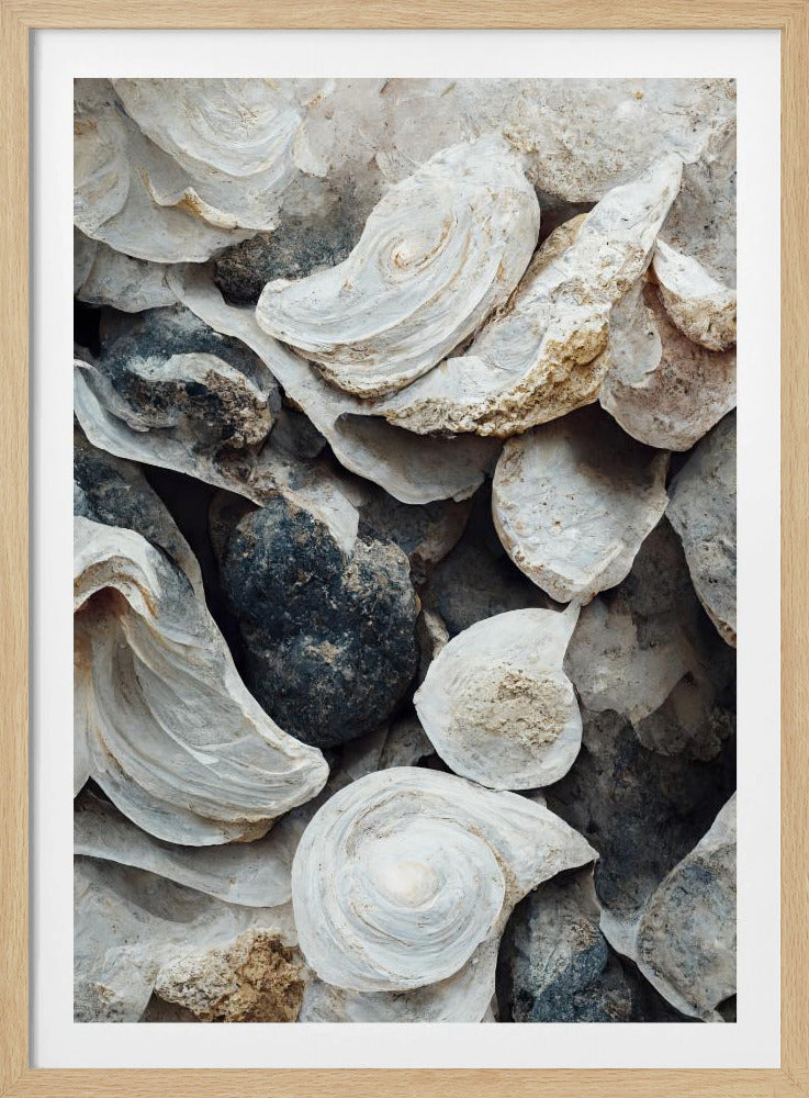 Schelpen en steen | Poster