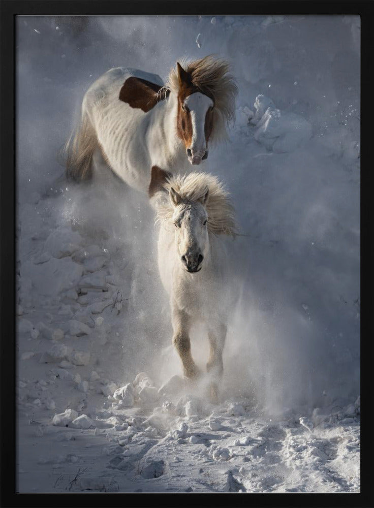 Twee paarden | Poster