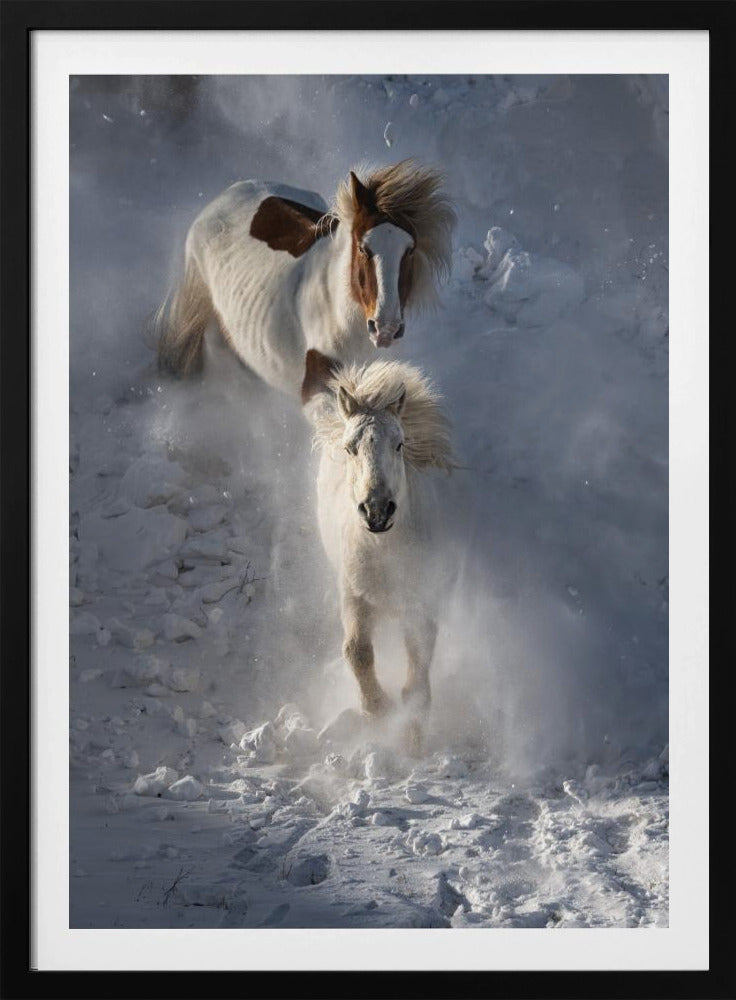 Twee paarden | Poster
