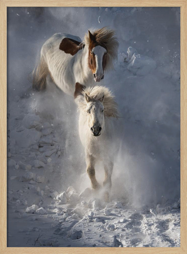 Twee paarden | Poster