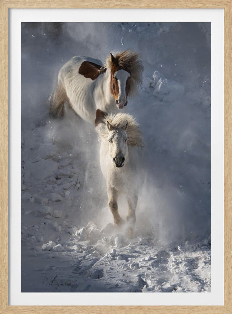 Twee paarden | Poster