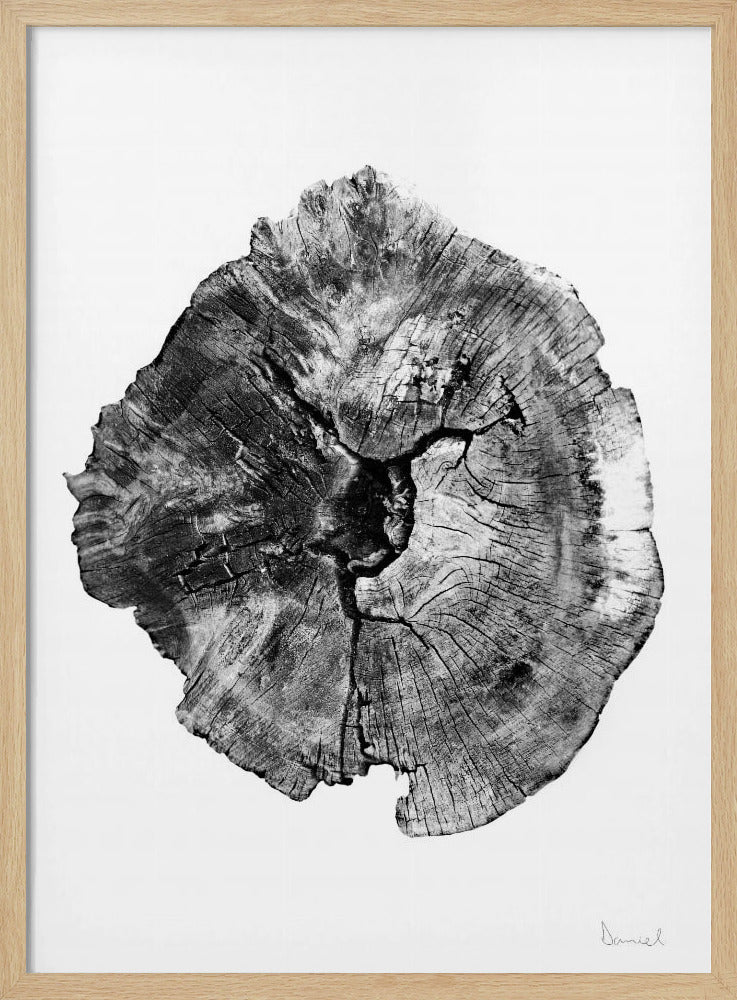 Eikenhouten blok | Poster