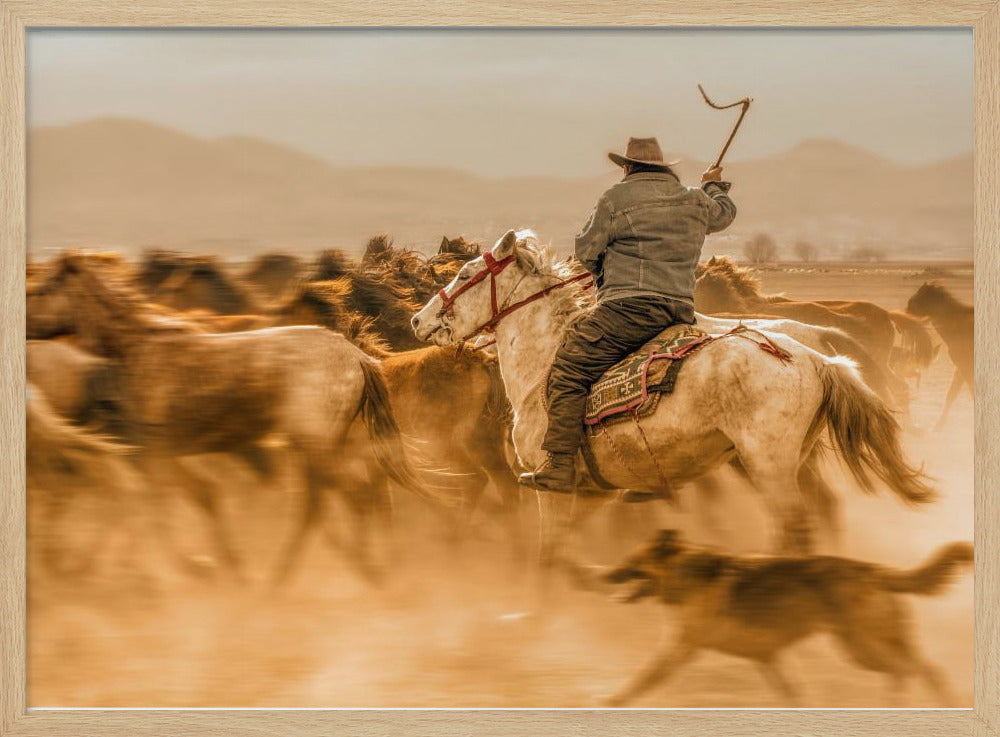 Wilde paarden (ook bekend als Yılkı Atları) | Poster