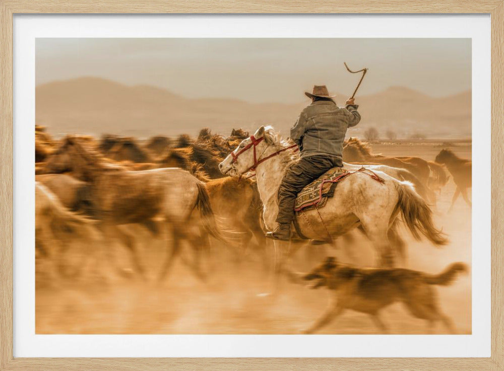 Wilde paarden (ook bekend als Yılkı Atları) | Poster