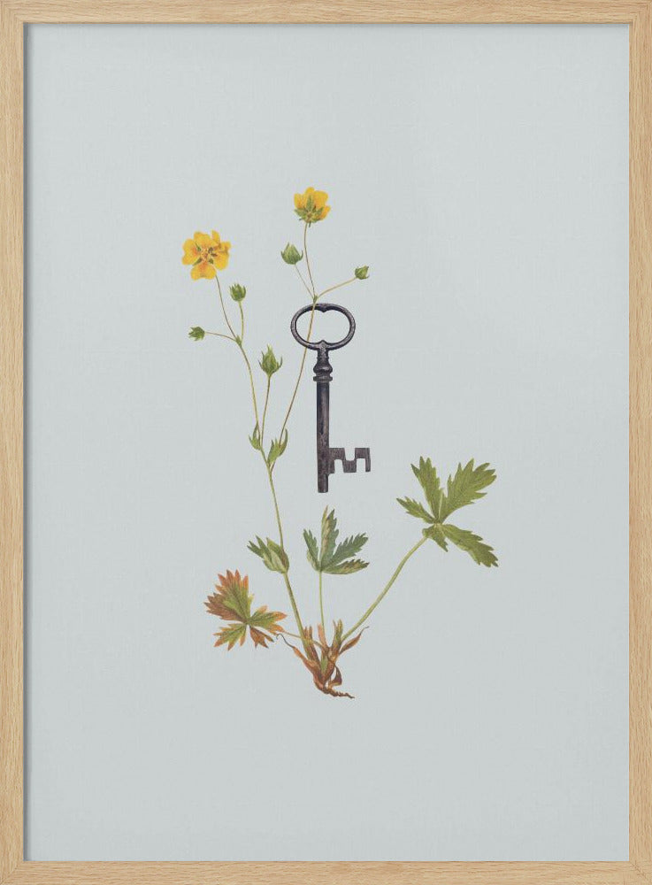 Botanische vintage sleutel | Poster