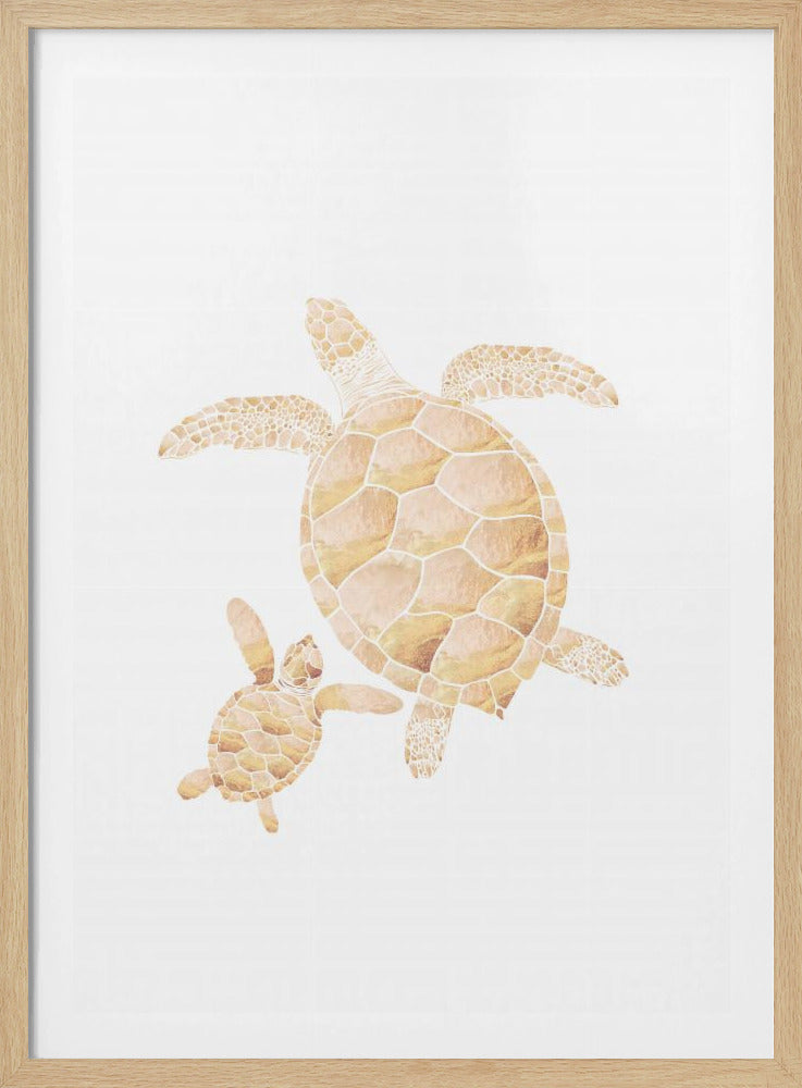 Goudwitte schildpadden | Poster