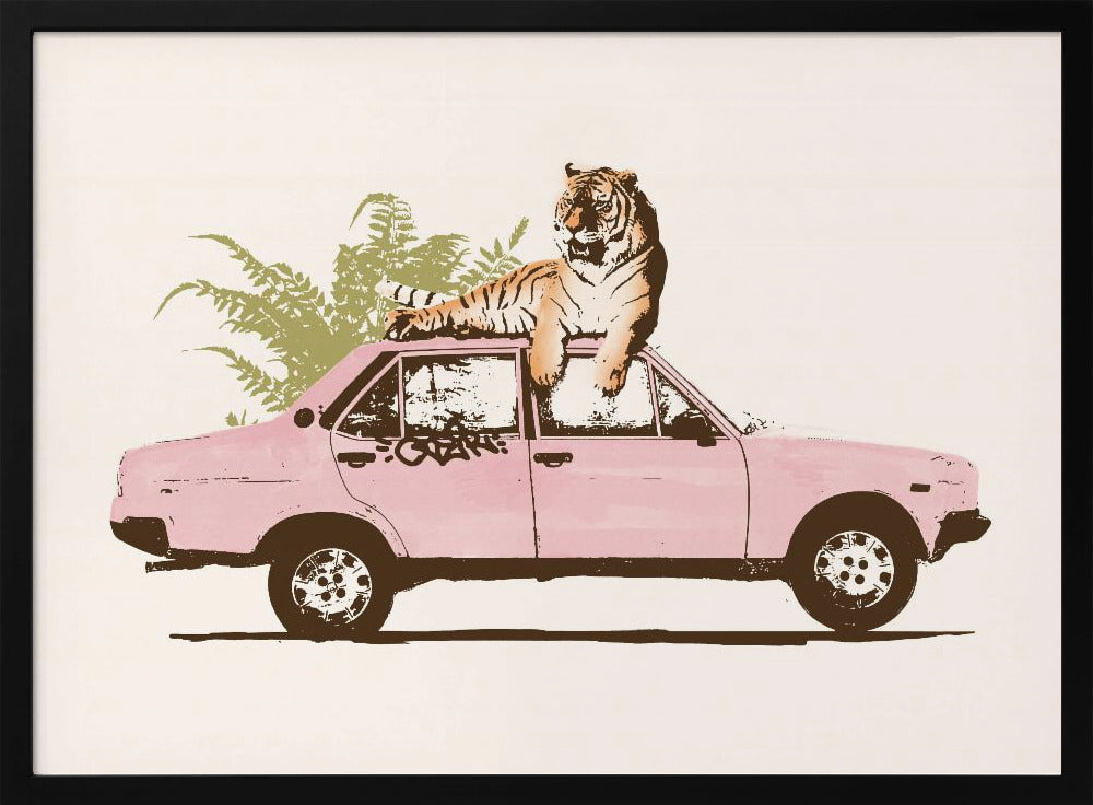 Tijger op auto | Poster
