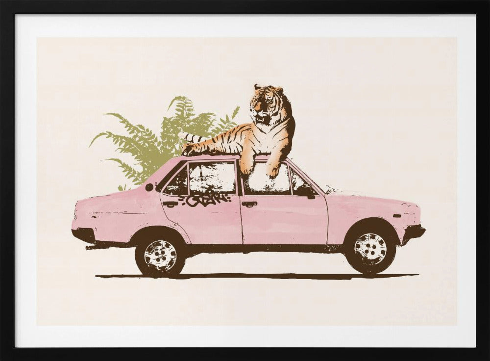 Tijger op auto | Poster