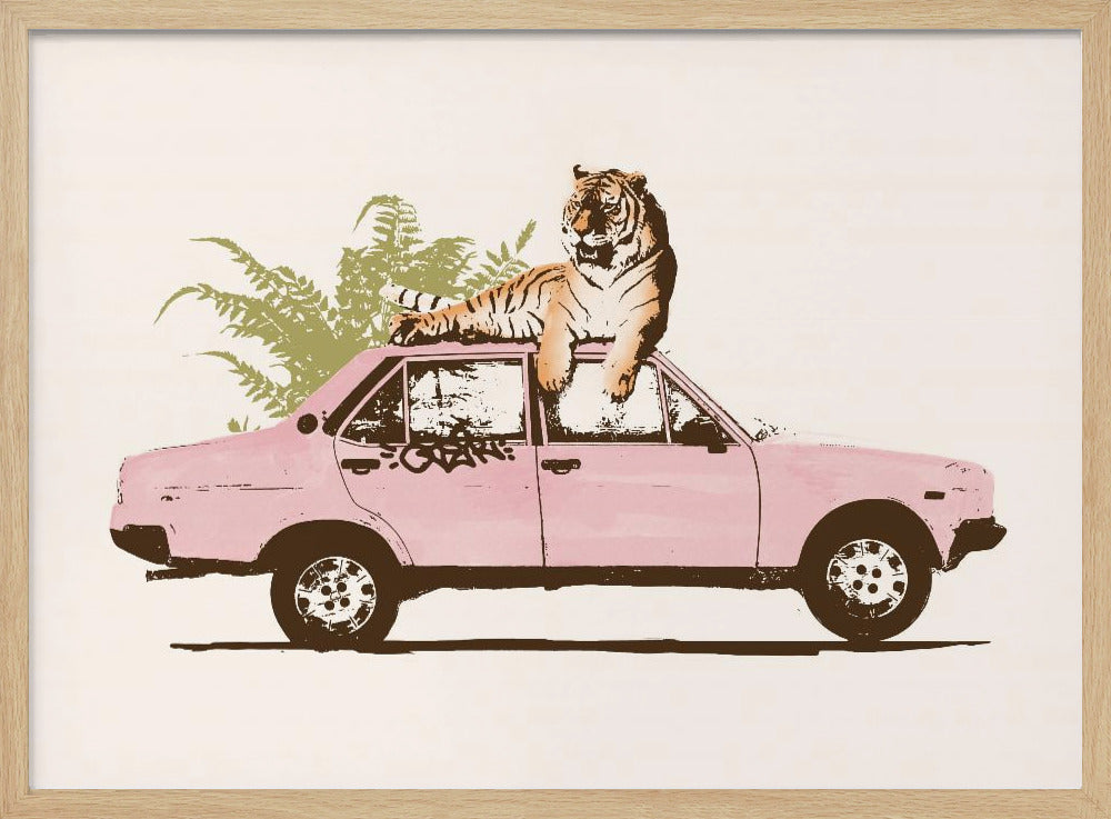 Tijger op auto | Poster