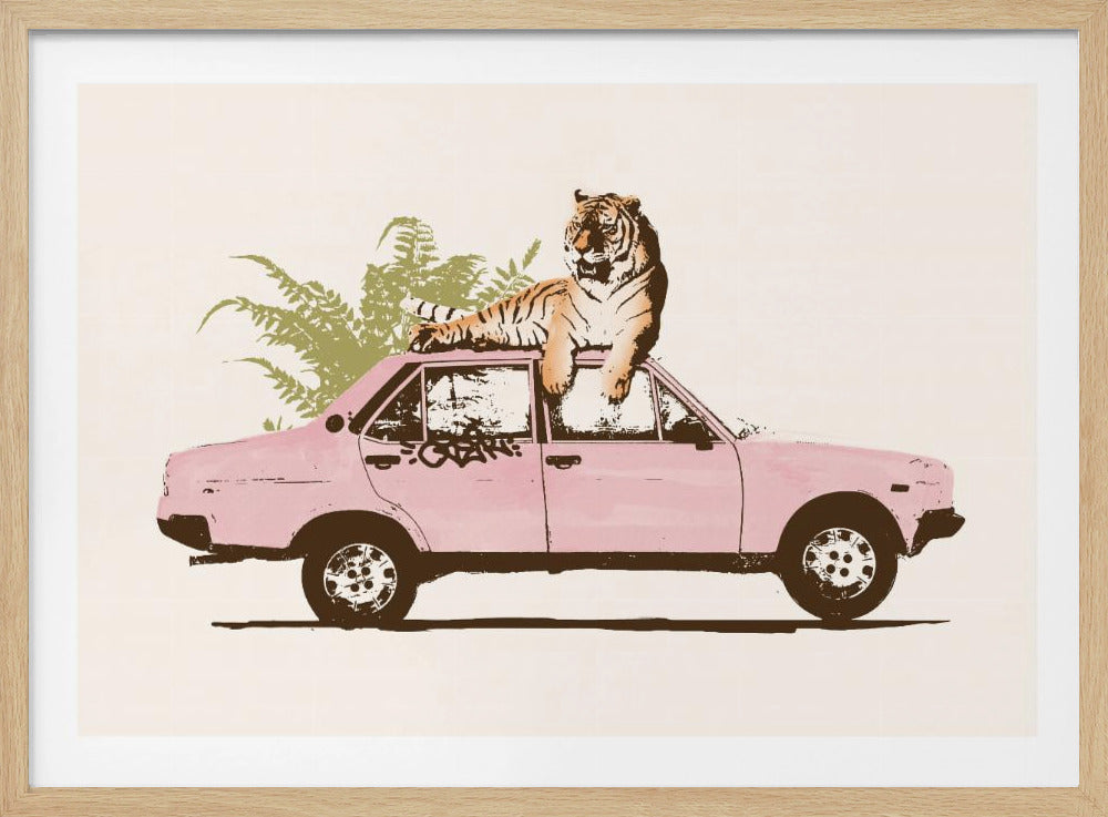 Tijger op auto | Poster