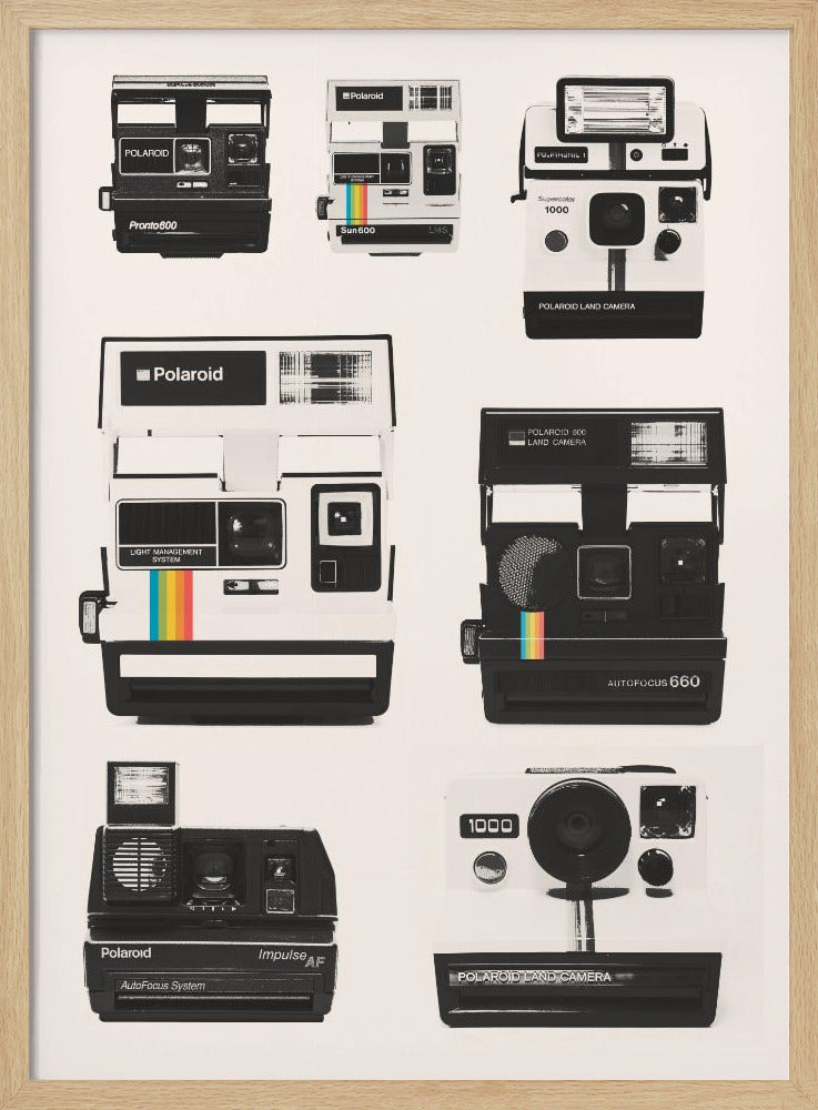 Instant Camera Collectie | Poster