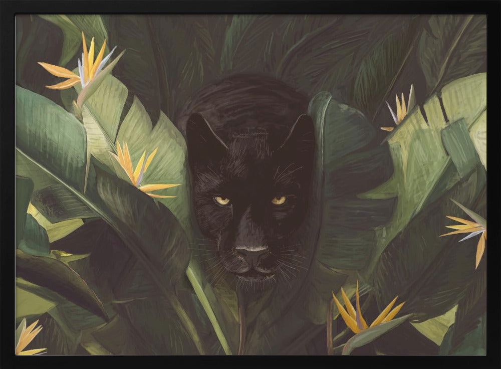 Hallo Panter | Poster