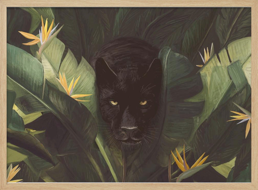 Hallo Panter | Poster