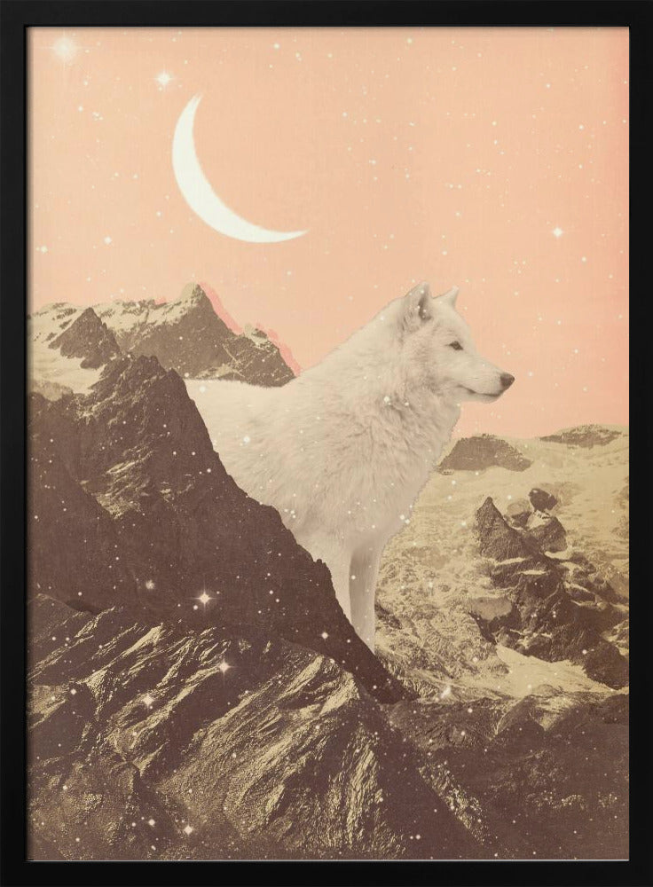Reuzenwitte wolf in de bergen | Poster