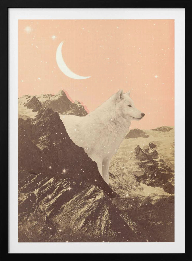Reuzenwitte wolf in de bergen | Poster