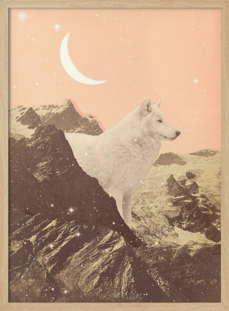 Reuzenwitte wolf in de bergen | Poster