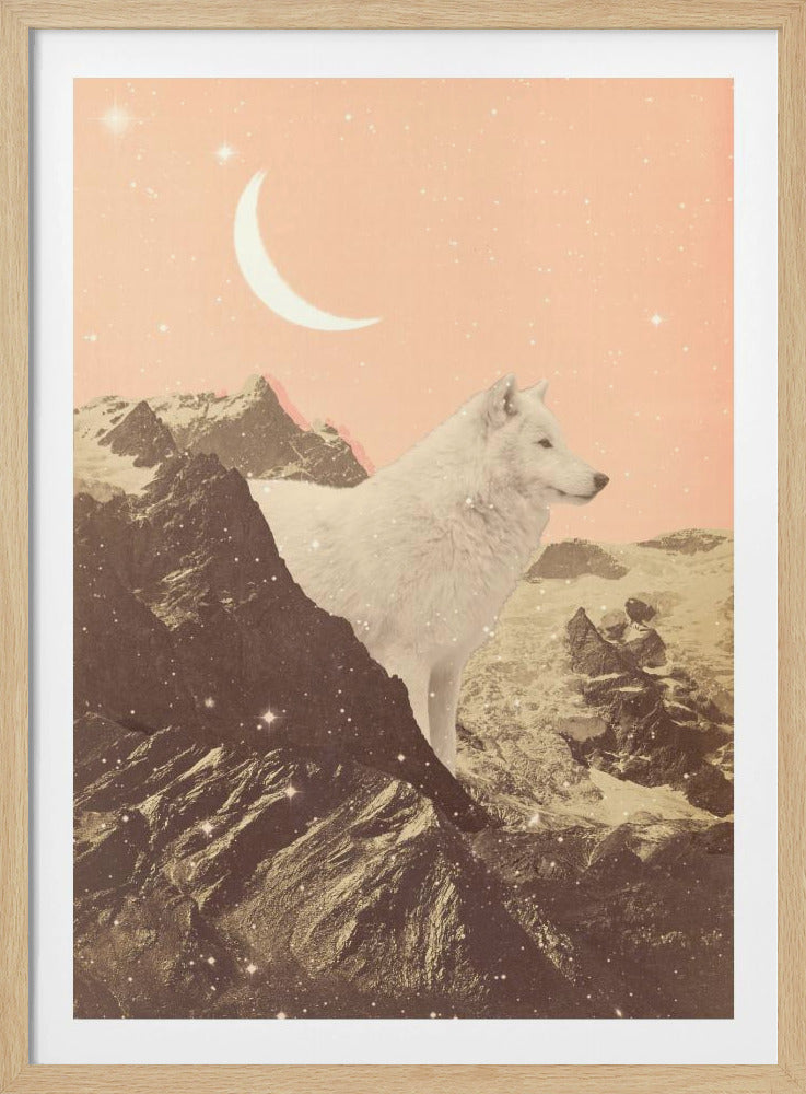 Reuzenwitte wolf in de bergen | Poster
