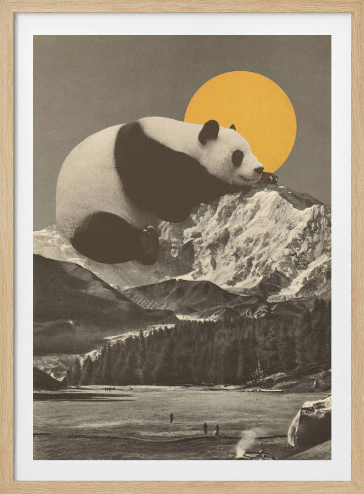 Reuzenpanda slaapt | Poster