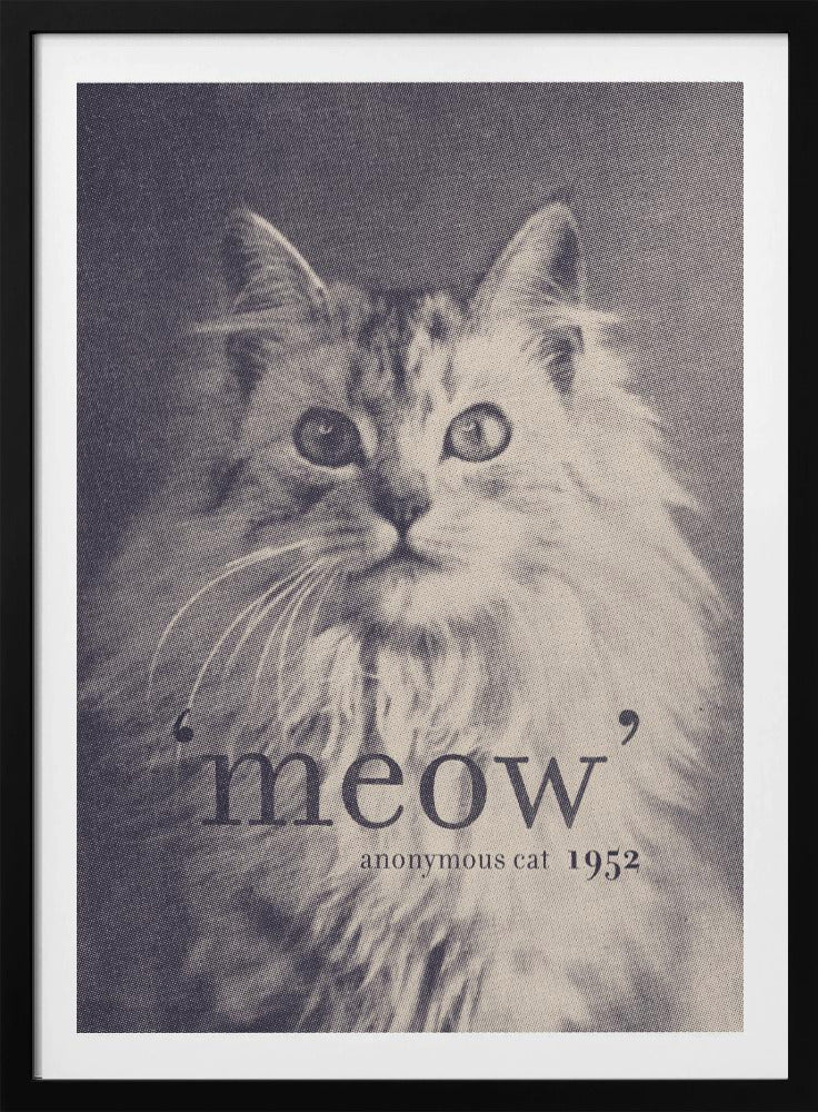 Beroemde Citaat Kat | Poster