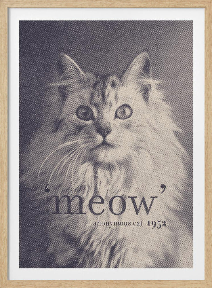 Beroemde Citaat Kat | Poster