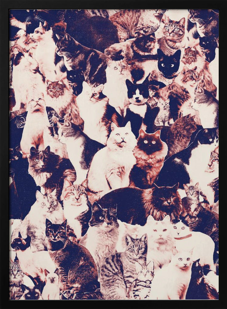 Katten voor altijd | Poster