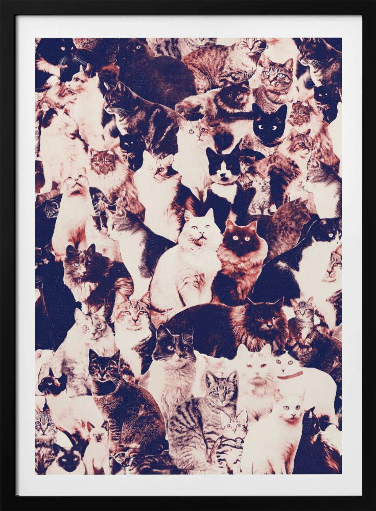 Katten voor altijd | Poster