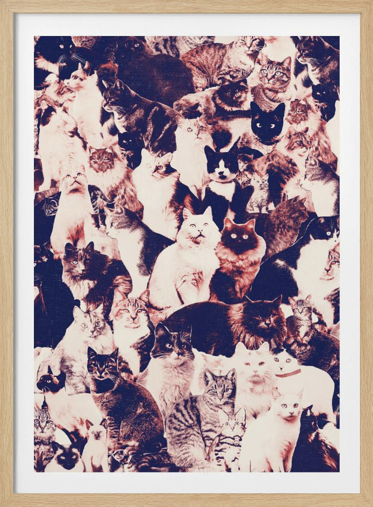 Katten voor altijd | Poster