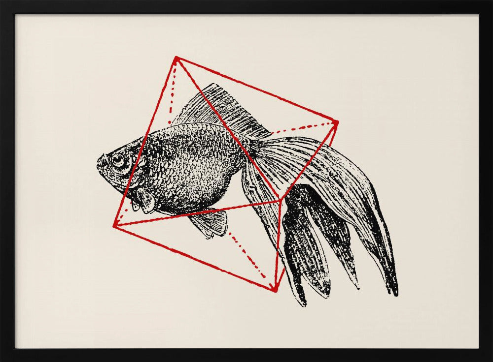 Vis in de geometrie nr. 3 | Poster