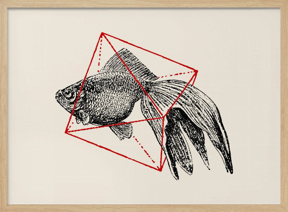 Vis in de geometrie nr. 3 | Poster