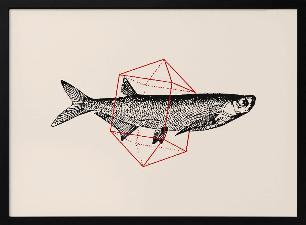 Vis in de geometrie nr. 2 | Poster