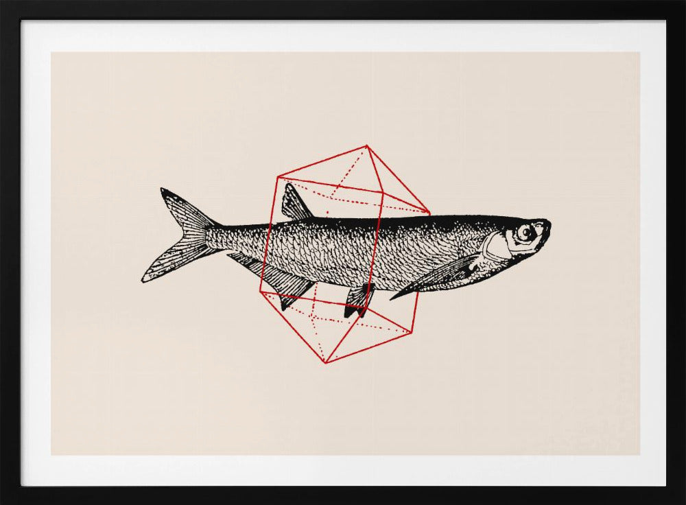Vis in de geometrie nr. 2 | Poster