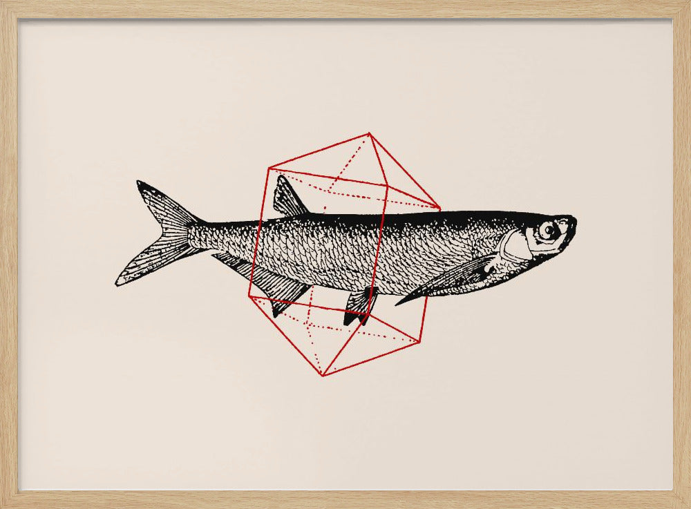 Vis in de geometrie nr. 2 | Poster