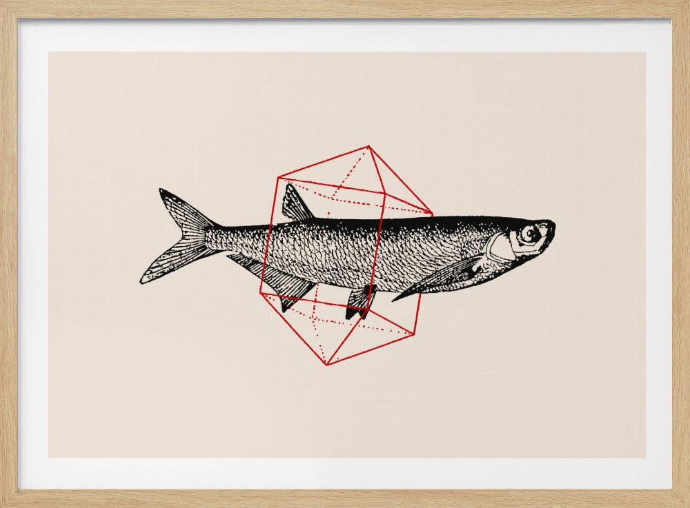 Vis in de geometrie nr. 2 | Poster