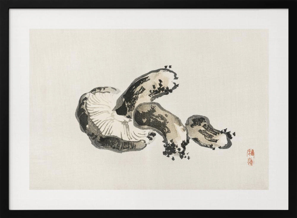 Shiitake-paddenstoel | Poster