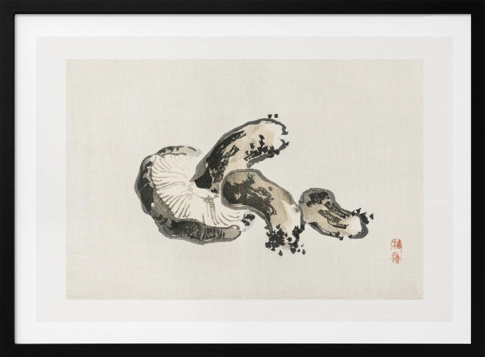 Shiitake-paddenstoel | Poster