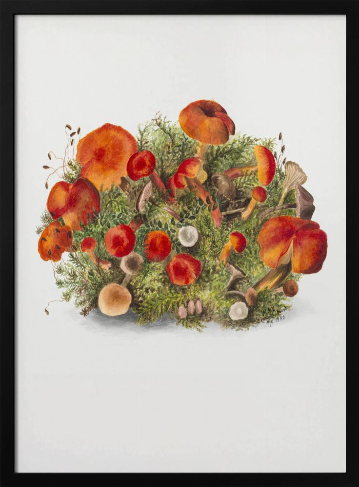 Studie van paddenstoelen (1880) Portretmodus | Poster