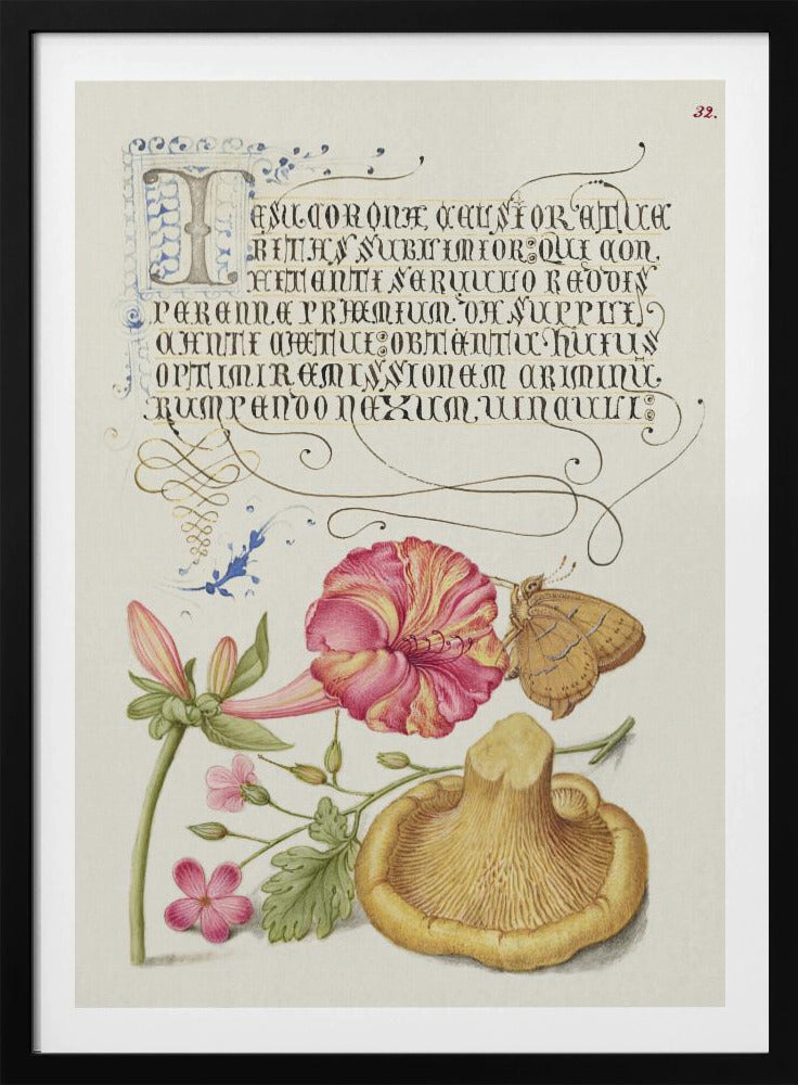 Mira Calligraphiae Monumenta | Poster